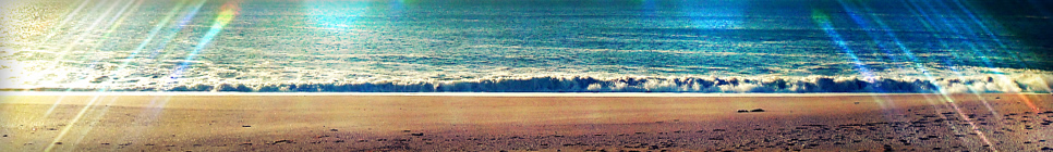 成人版豆奶视频